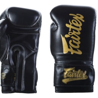 FAIRTEX BGV18 Super Sparring Gloves