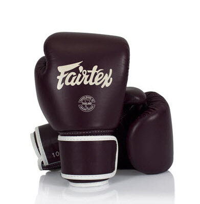 FAIRTEX BGV16 Boxing Glove