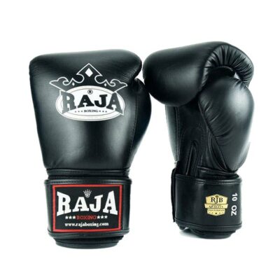 RAJA Boxing Gloves 10oz (Plain Colors)