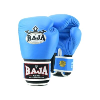 RAJA Boxing Gloves 8oz (Plain Colors)