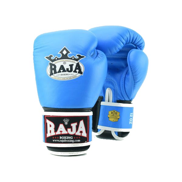 RAJA Boxing Gloves 8oz (Plain Colors)