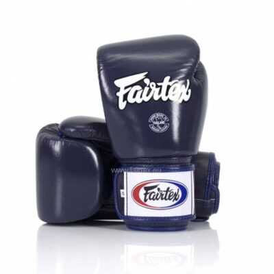 FAIRTEX 8oz Boxing Glove BGV-1 - Image 3