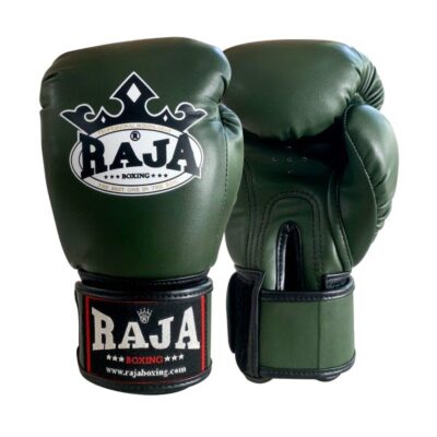 RAJA Boxing Gloves 12oz (Plain Colors)