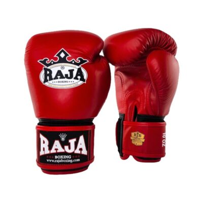 RAJA Boxing Gloves 14oz (Plain Colors)