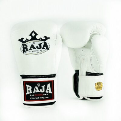 RAJA Boxing Gloves 14oz (Plain Colors) - Image 15