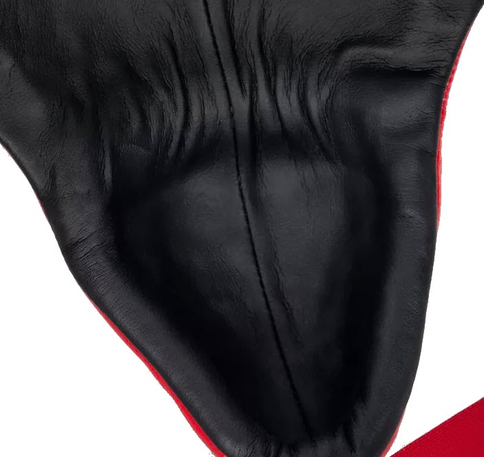 TWINS SPECIAL Abdominal Protector / Groin Guard APL1 - Image 3